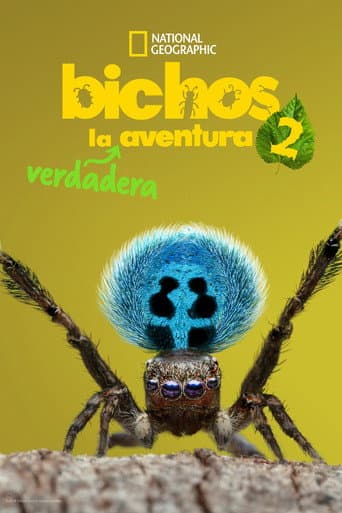 Temporada 2