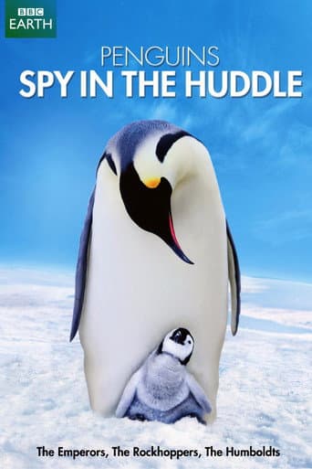 Pinguine hautnah