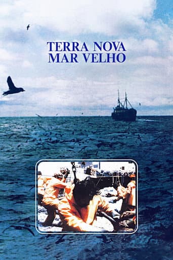 Terra Nova, Mar Velho