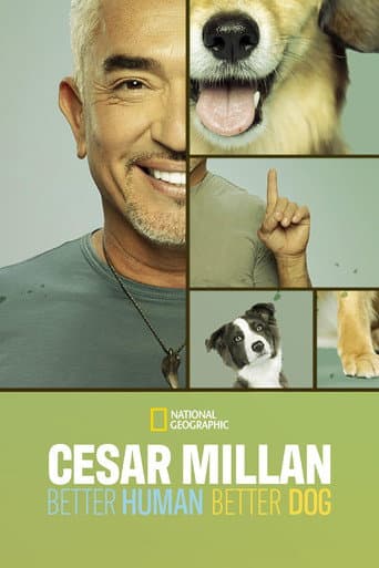 Staffel 3