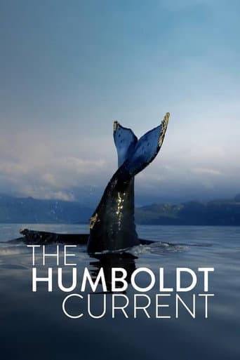 Der Humboldtstrom