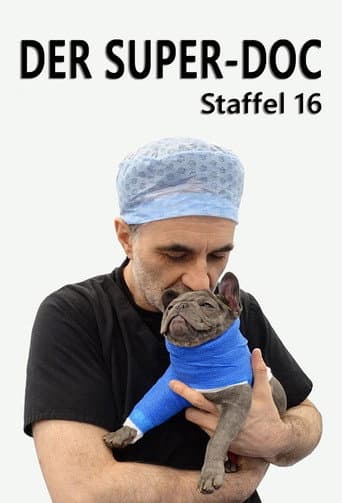 Staffel 16