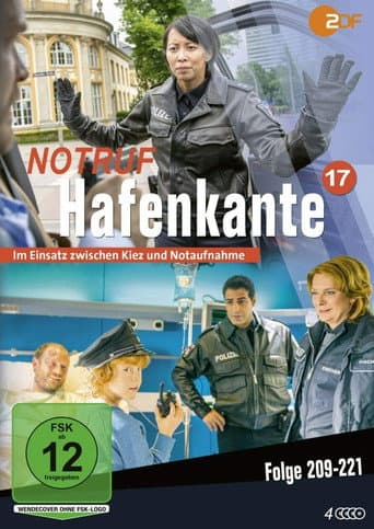 Staffel 17