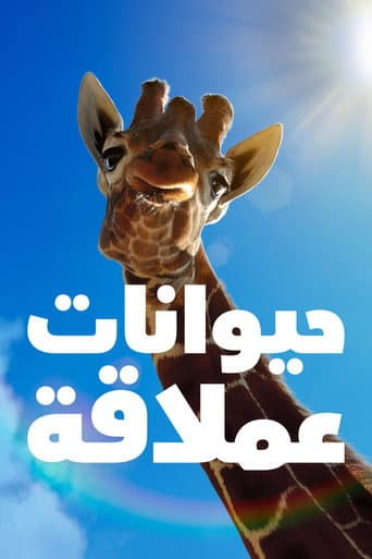 الموسم 1