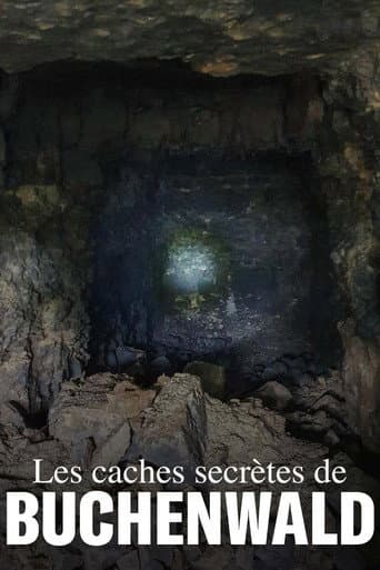 Die geheimen Depots von Buchenwald – Lösung eines Rätsels