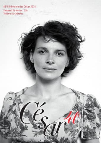 Staffel 41