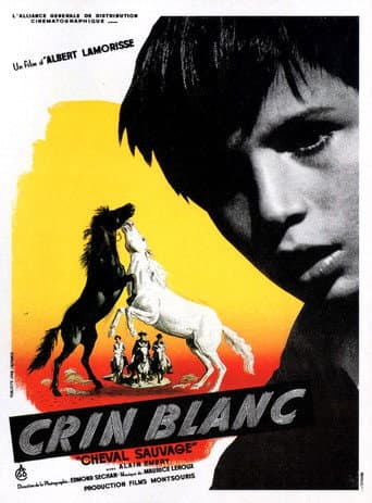Crin Blanc : Le Cheval sauvage