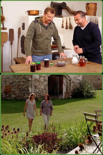 Staffel 4