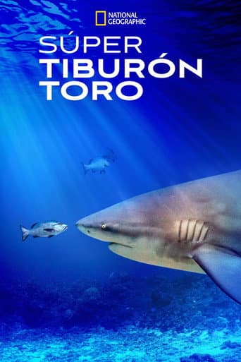 El tiburón toro mas grande del mundo