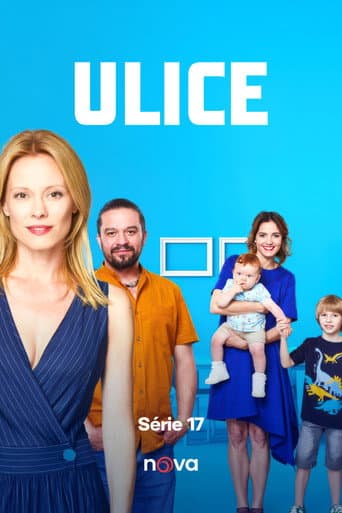 Staffel 17