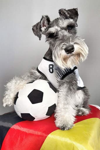 Montgomery Von Schnauz