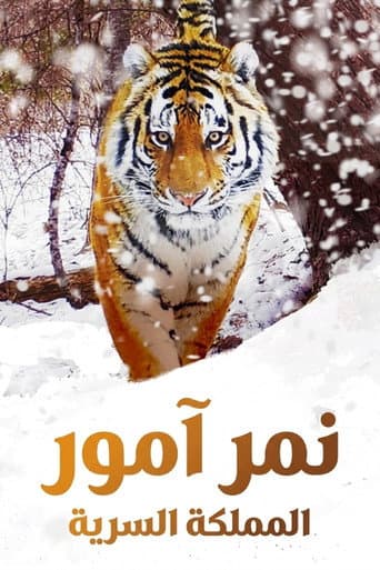 نمر آمور المملكة السرية