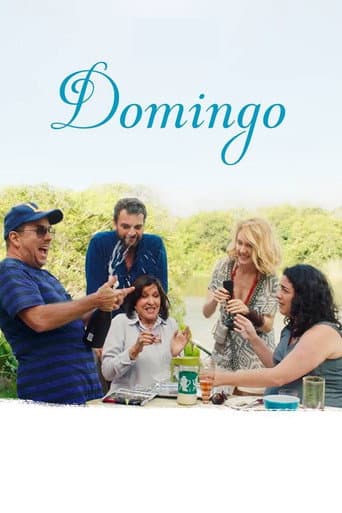Domingo - Das Familientreffen