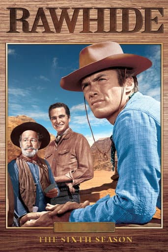 Staffel 6