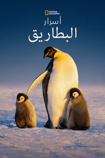 أسرار البطاريق