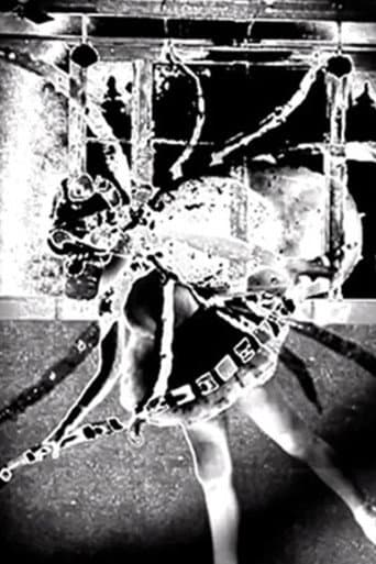 Nine Inch Nails: Came Back Haunted