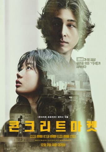 콘크리트 마켓
