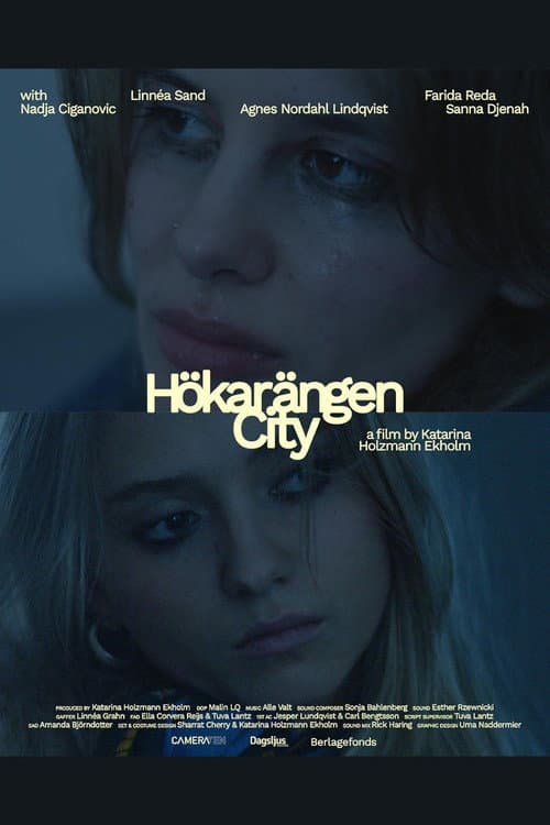 Hökarängen City