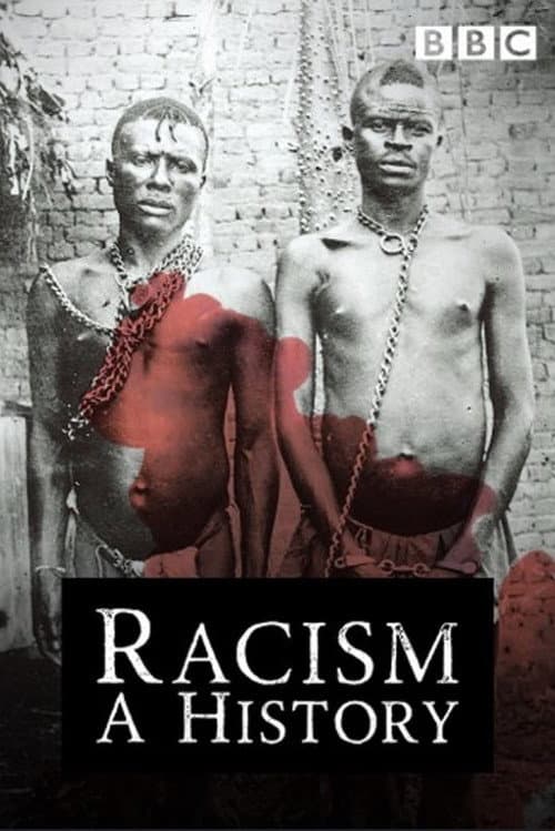 Geschichte des Rassismus