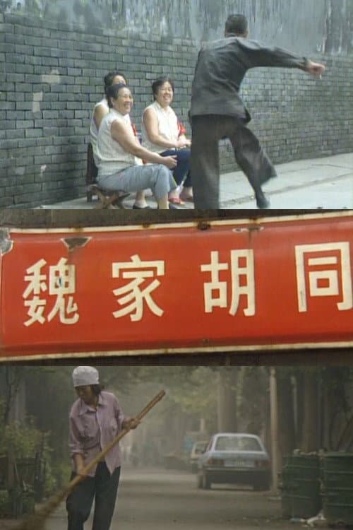 魏家胡同