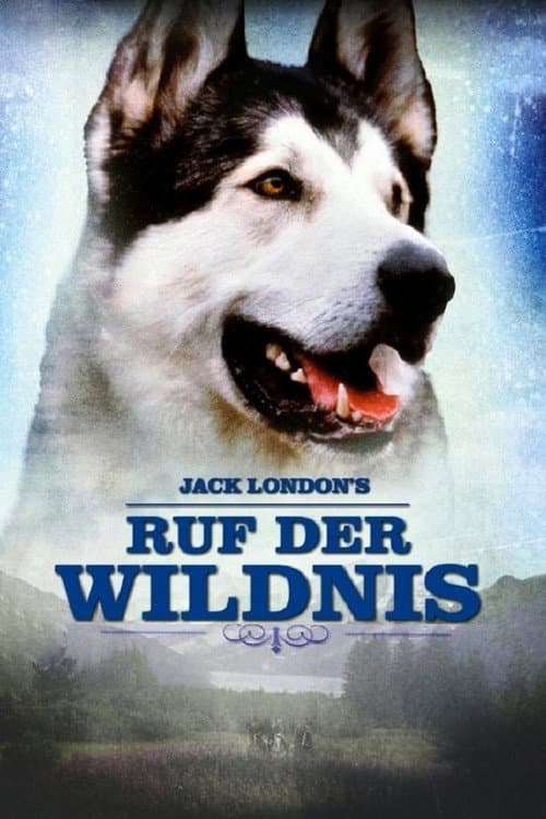 Ruf der Wildnis