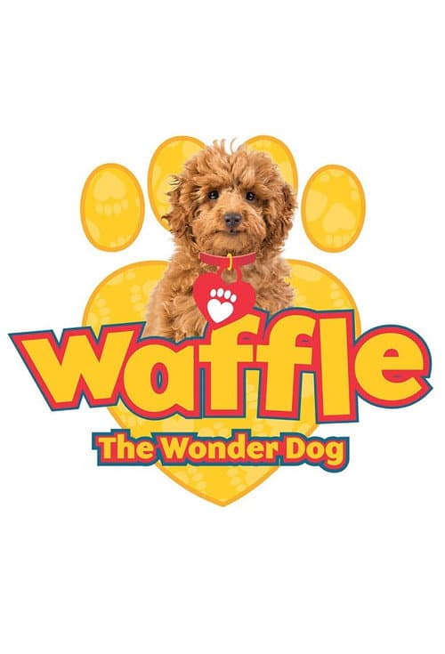 Wuffel, der Wunderhund