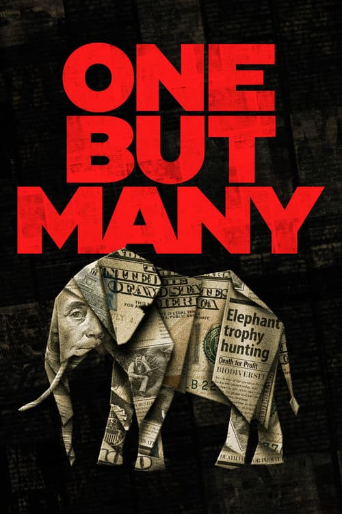 One But Many