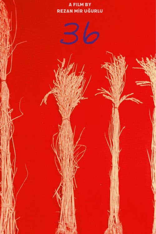 36