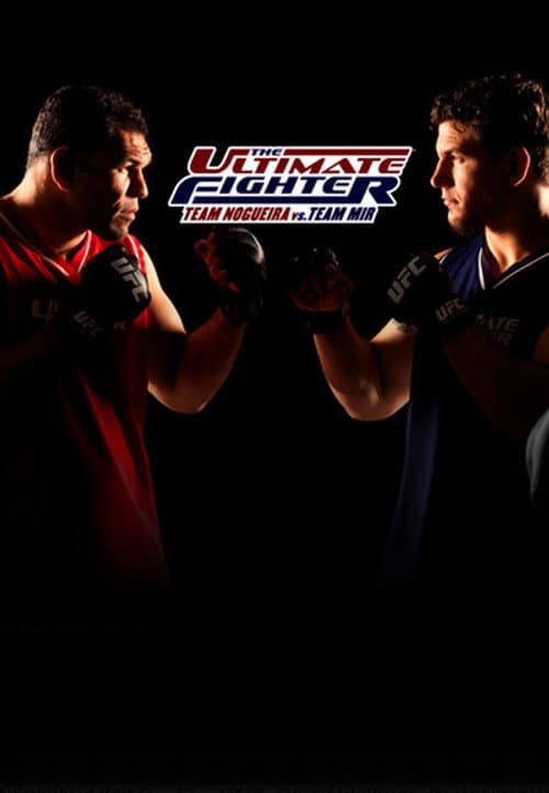 Team Nogueira vs. Team Mir
