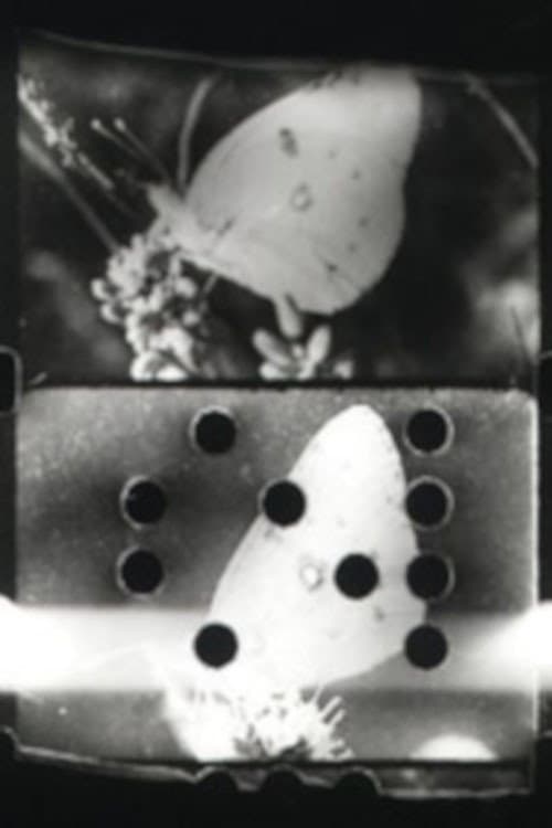 Farfallio