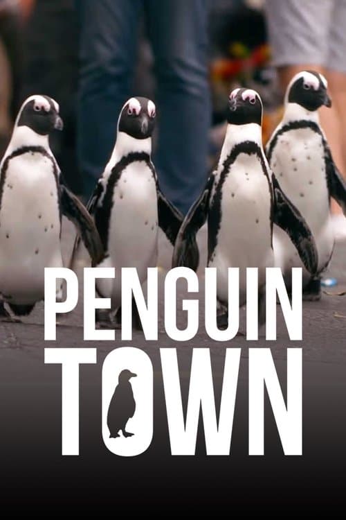 Stadt der Pinguine