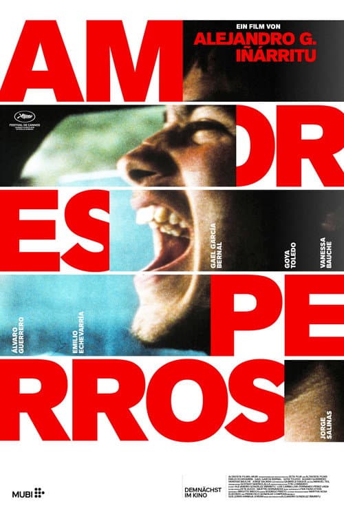 Amores perros