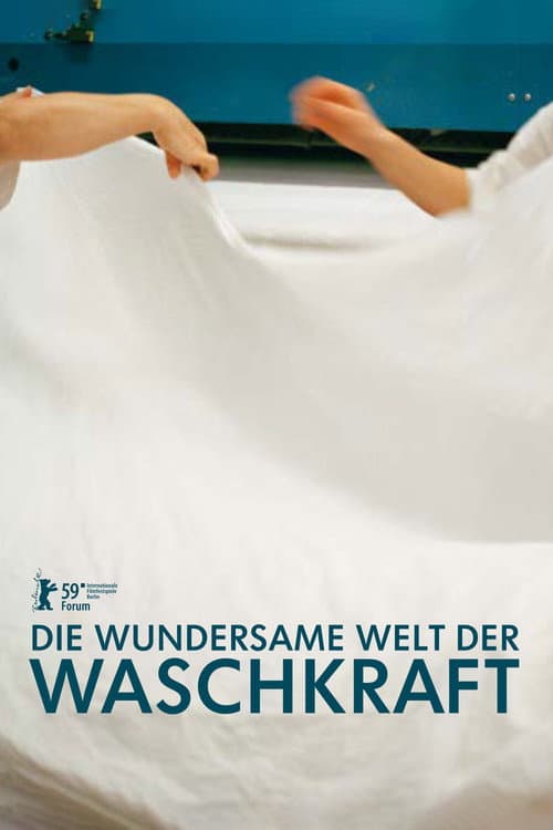 Die wundersame Welt der Waschkraft