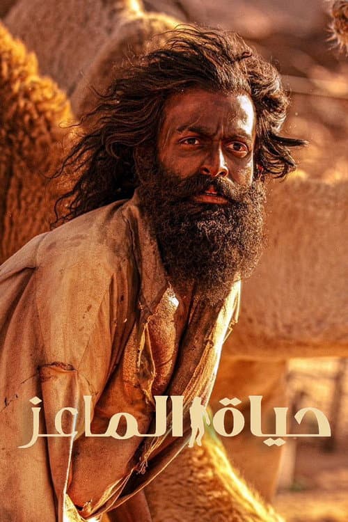 حياة الماعز