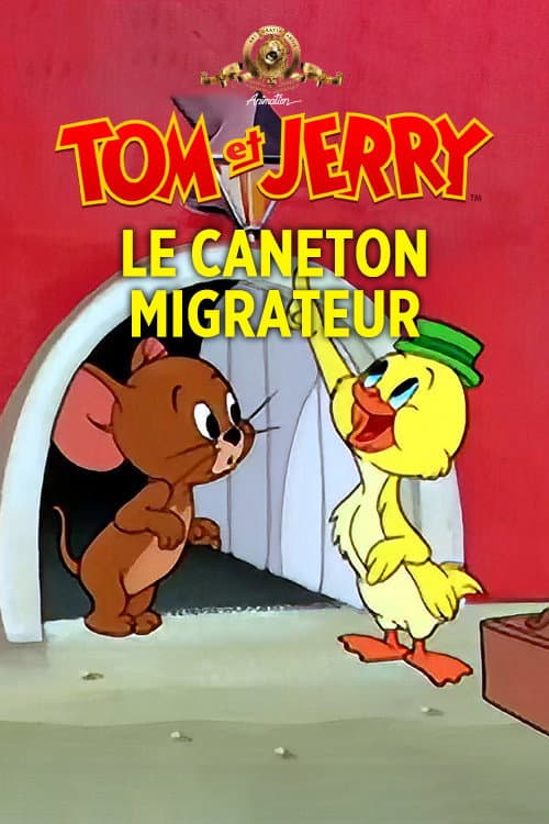 Le caneton migrateur