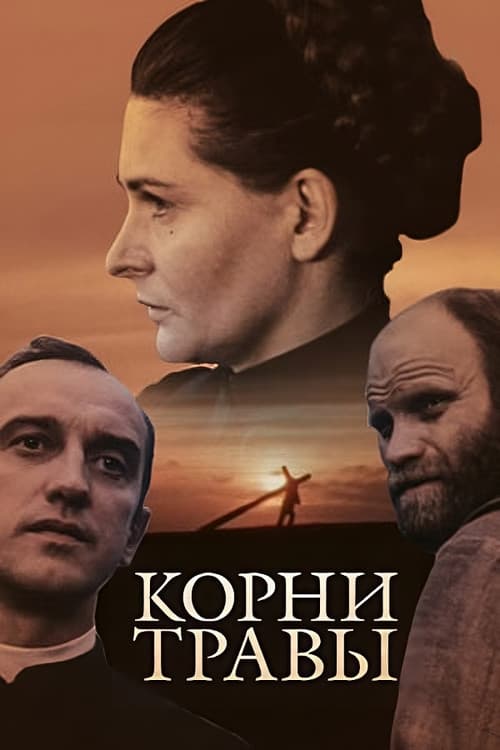Žolės šaknys