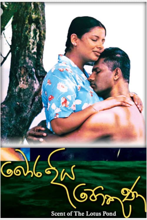 බොර දිය පොකුණ