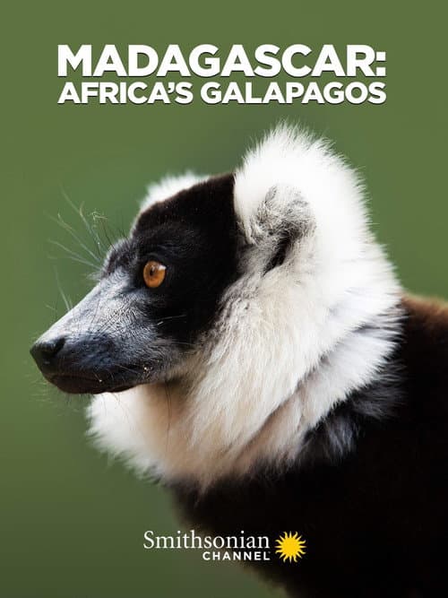 Die wunderliche Welt von Madagaskar