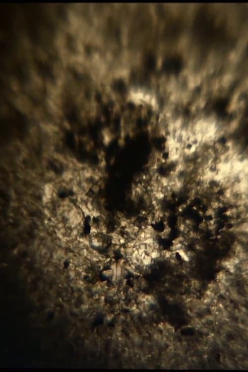 Granular