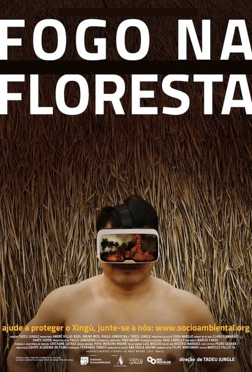 Fogo na Floresta