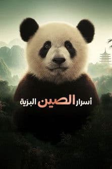 Chinas wilde Geheimnisse
