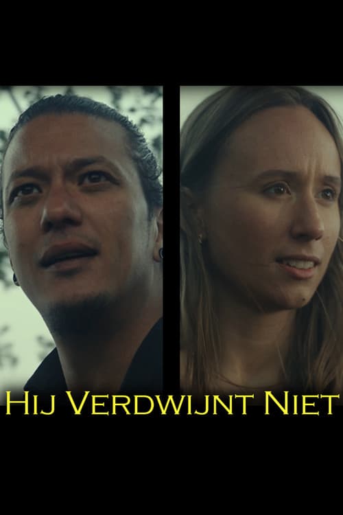 Hij Verdwijnt Niet