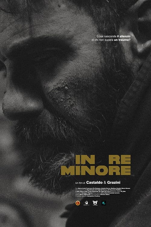 In Re Minore