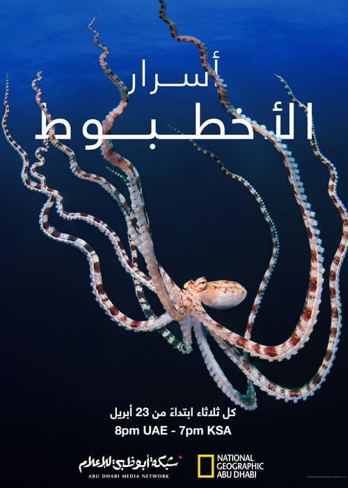 أسرار الأخطبوط