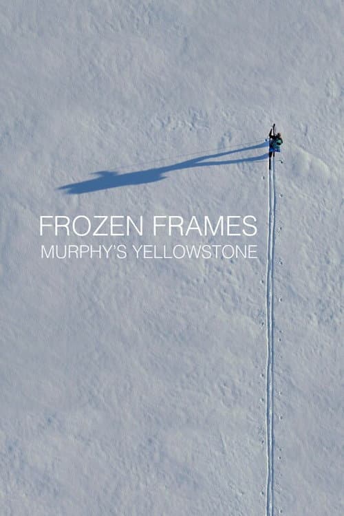 Frozen Frames: Murphy's Yellowstone