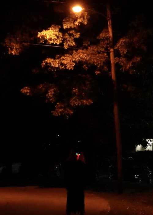 Into The Shadows