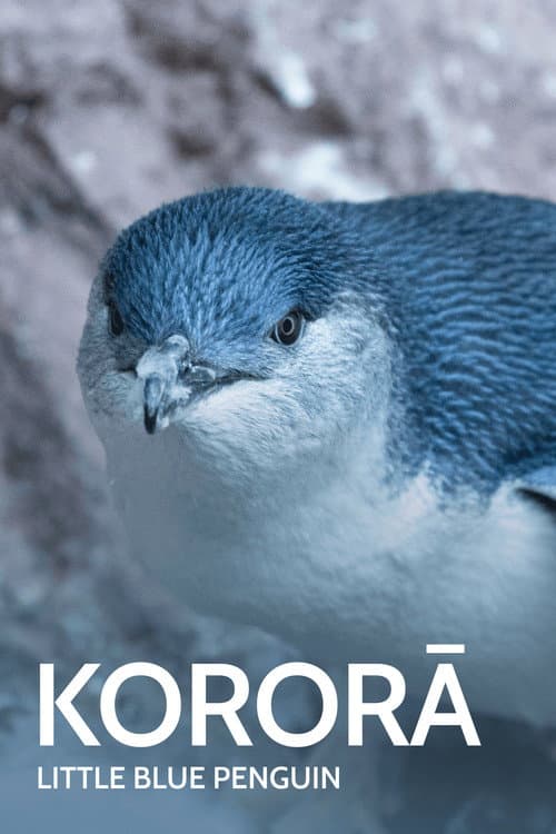 Kororā: Little Blue Penguin