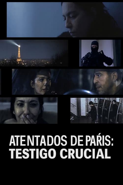 Atentados de París: testigo crucial