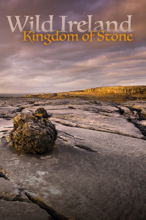 Wild Ireland: Kingdom of Stone
