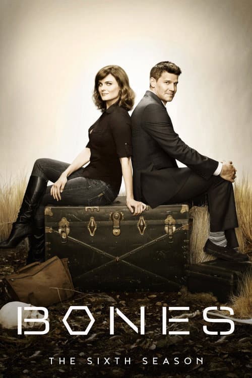 Season 6